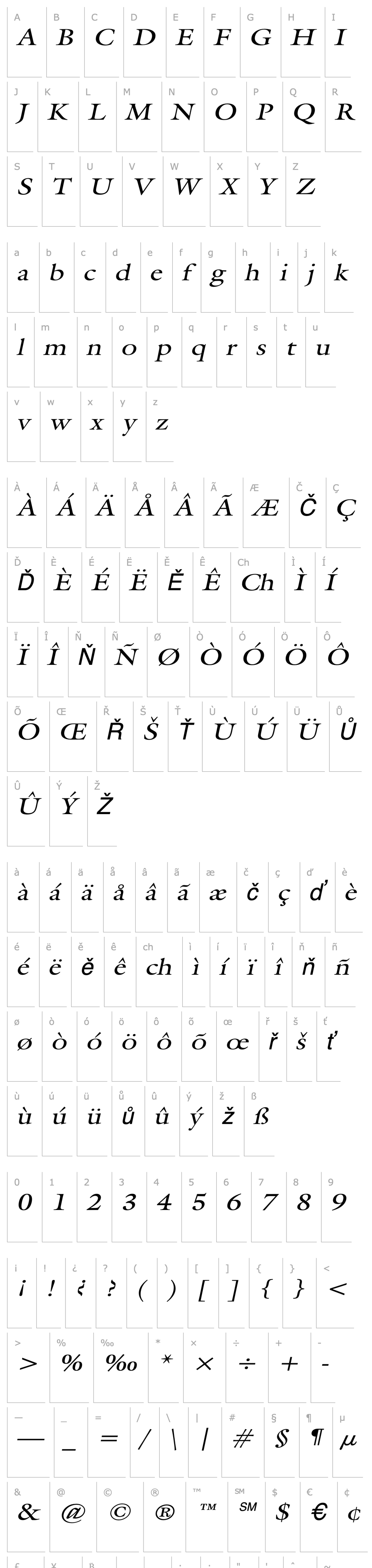 Overview Galant Wide Italic