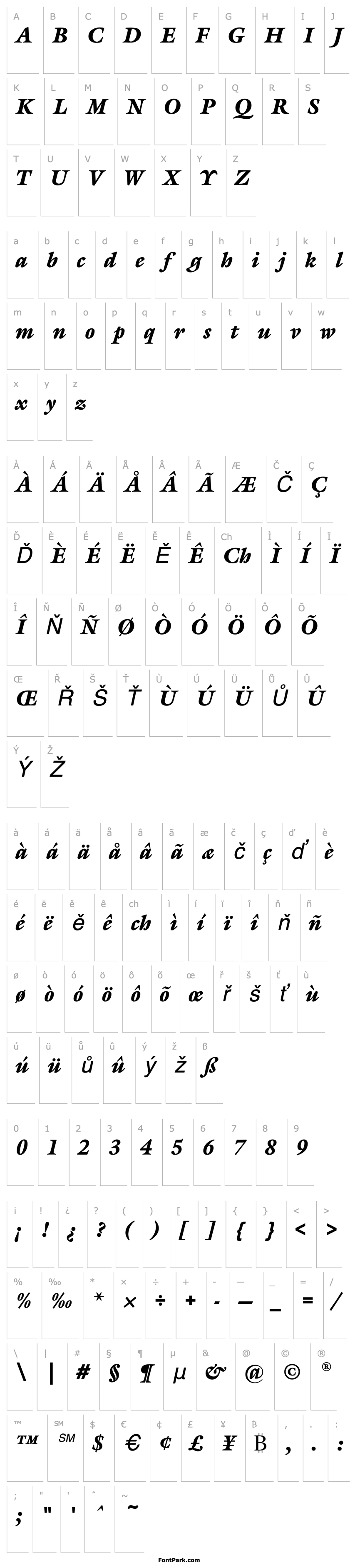 Overview GalliardEF-BlackItalic