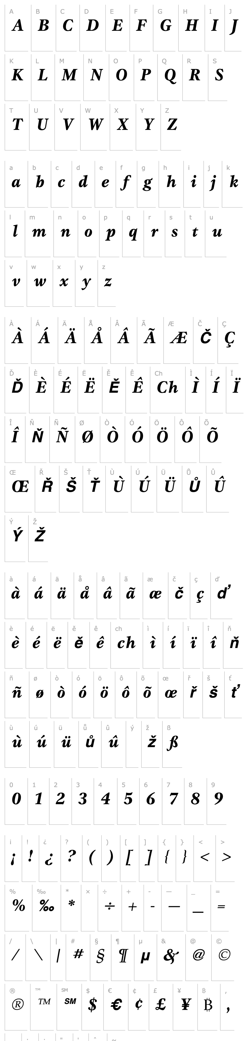 Přehled Gamma Bold Italic