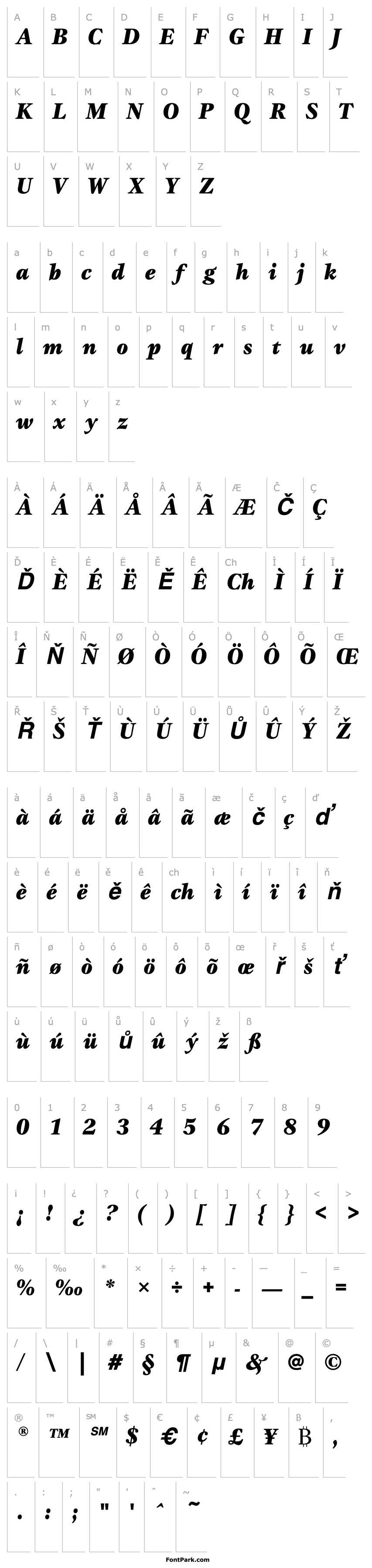 Overview GammaEF-BlackItalic