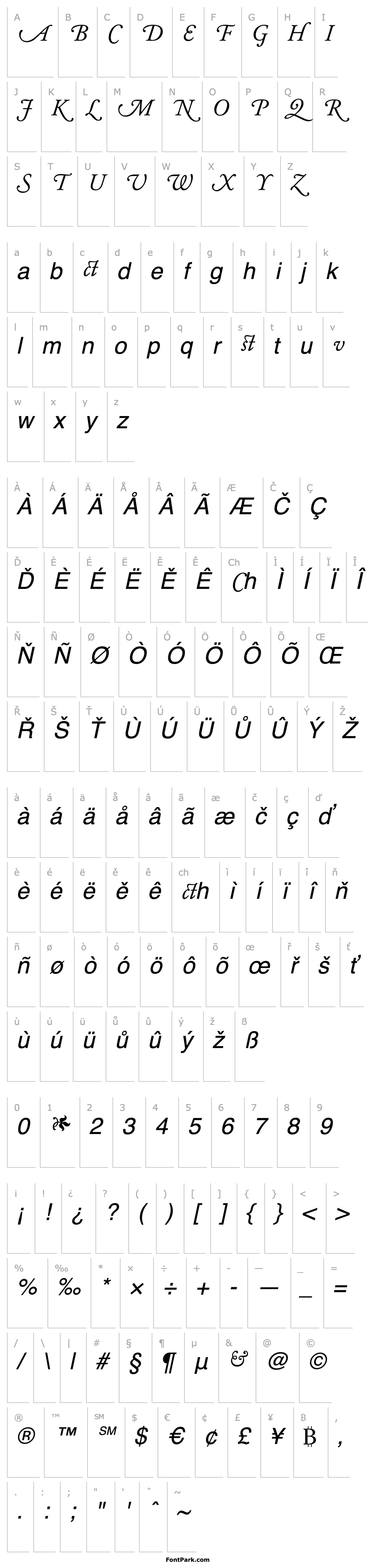 Overview Garamond Alternate SSi Italic