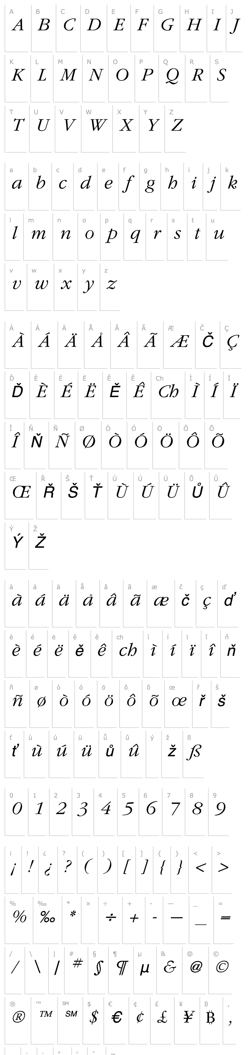 Overview Garamond Light Italic