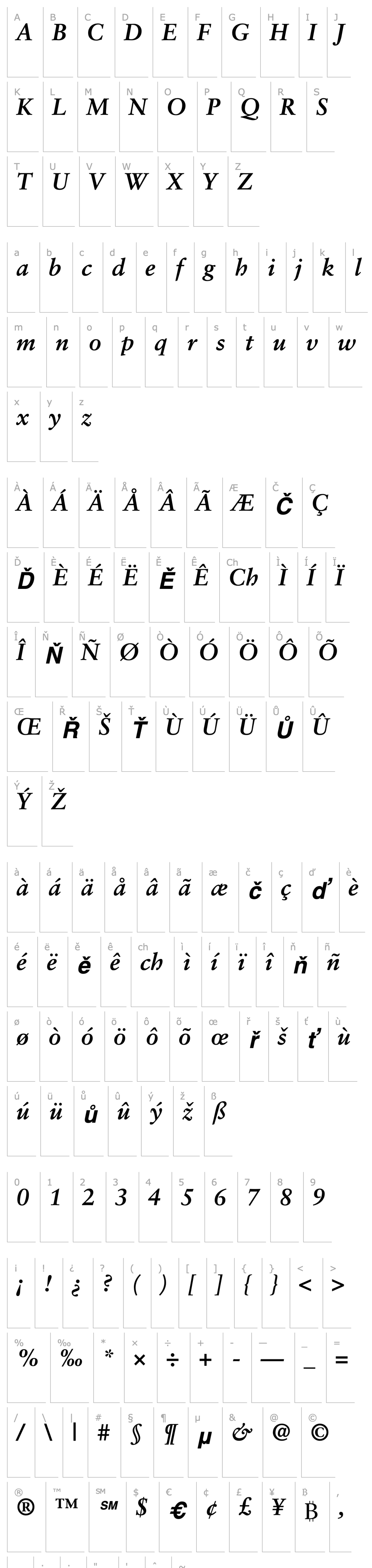 Přehled Garamond Retrospective SSi Bold Italic