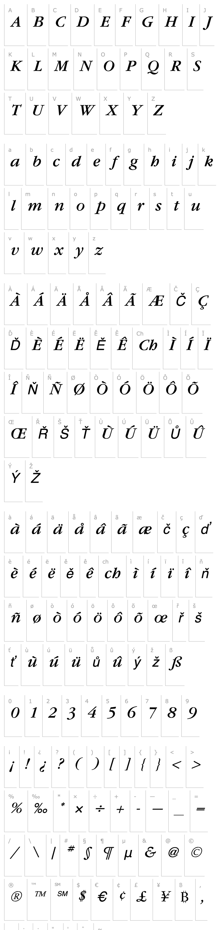 Overview GaramondBookItalic