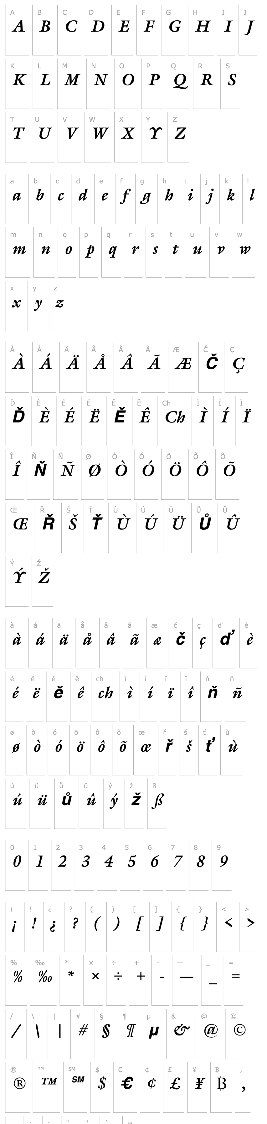 Overview Gareth Bold Italic