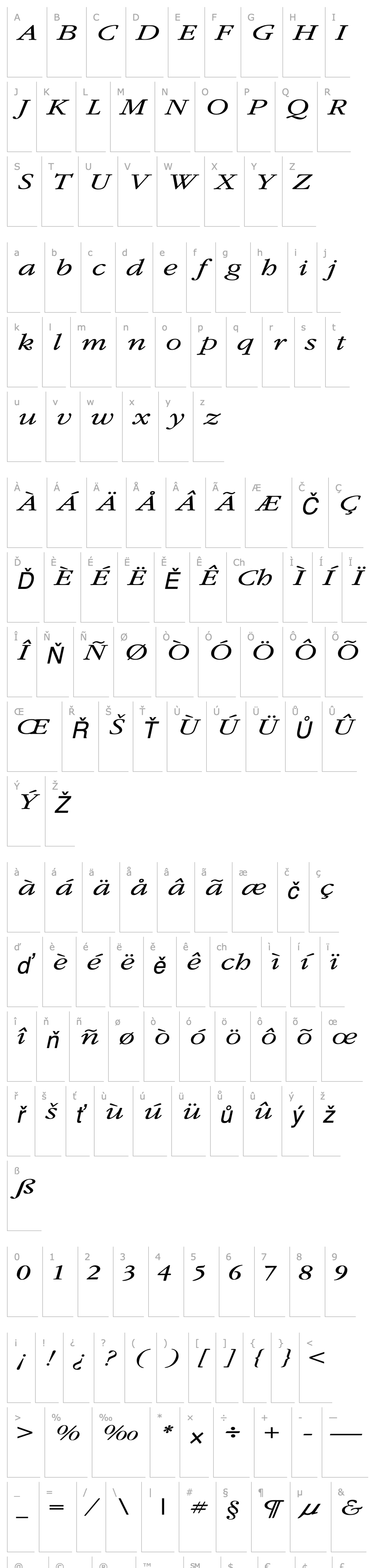 Overview GarnetBroad Italic