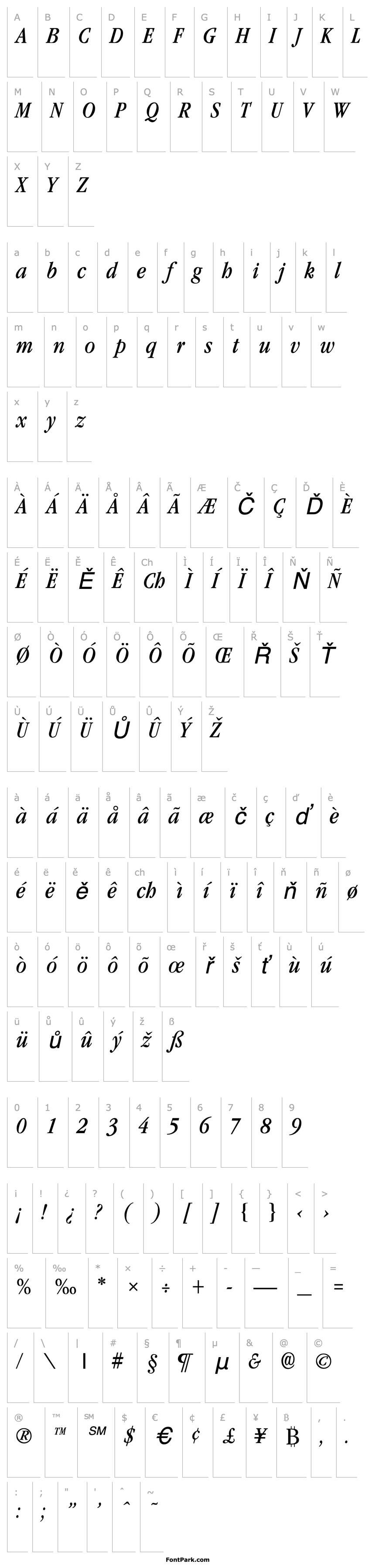 Overview GarnetCondensed Italic