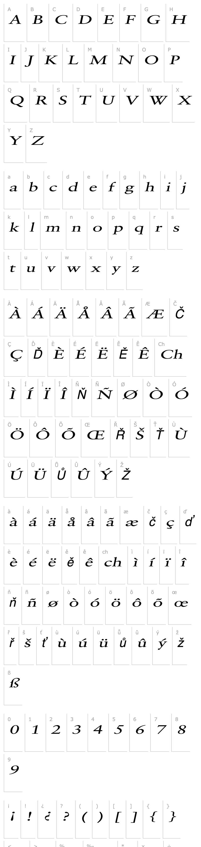 Overview Garrick Extended Italic