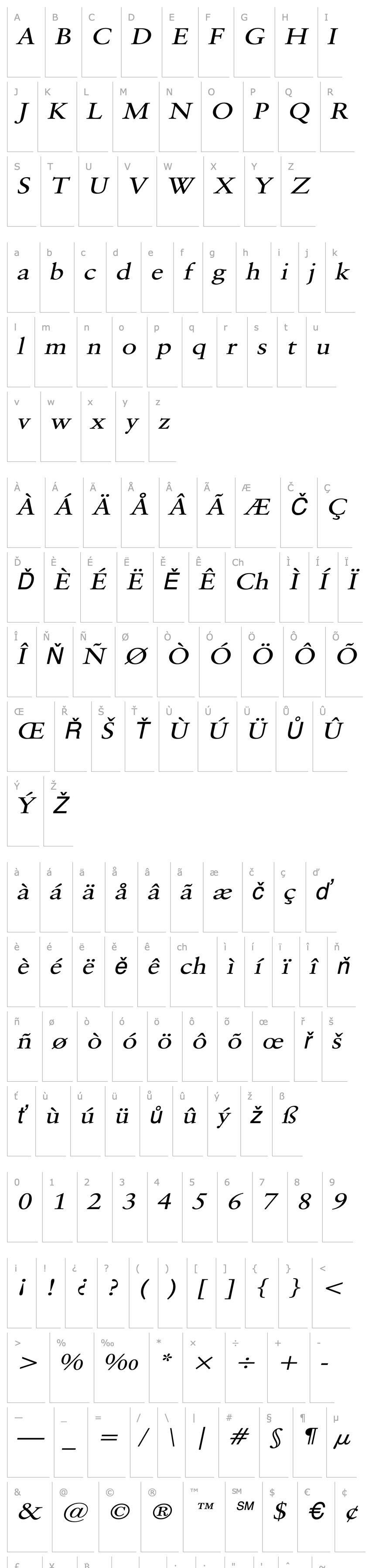 Overview Garrick Wide Italic