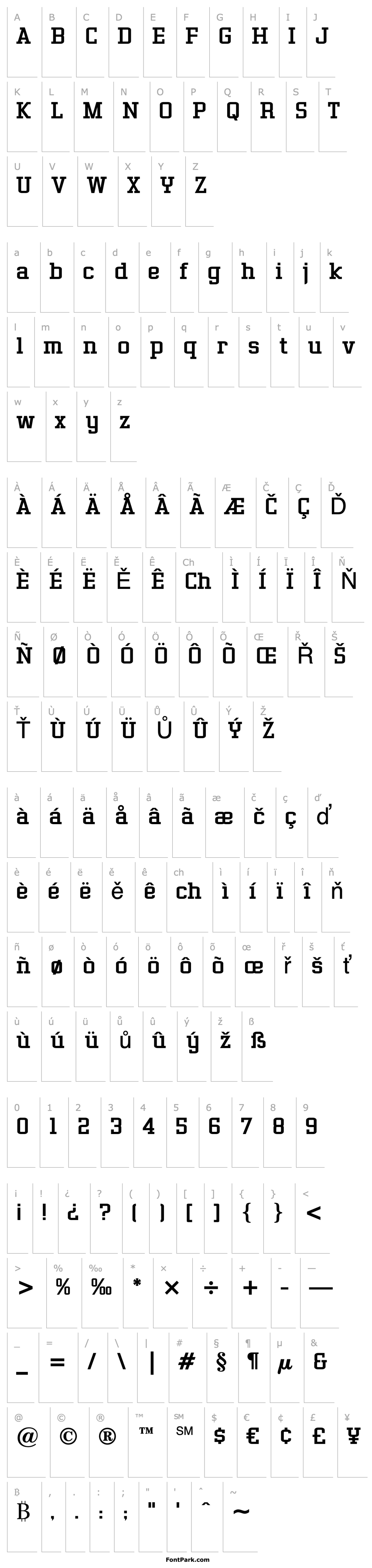 Overview Gasoline Serif BTN