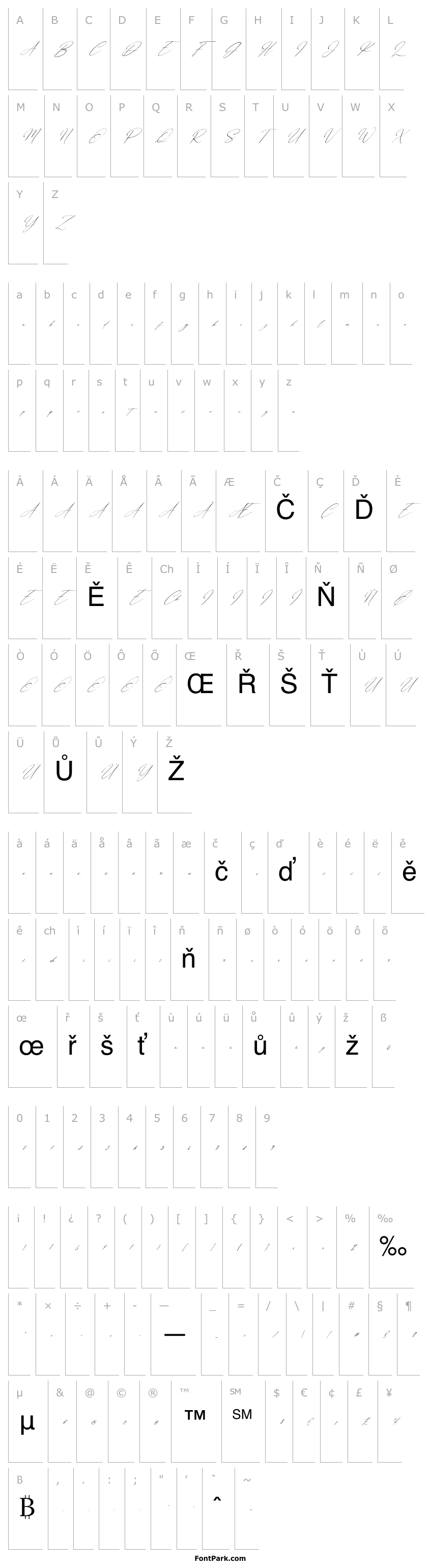 Overview Gathering Day Italic