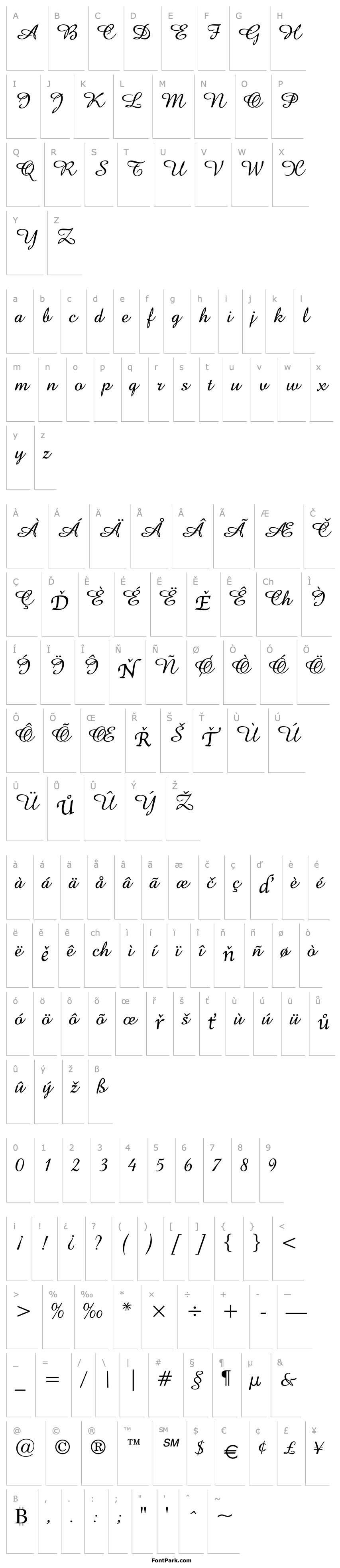 Přehled GE Amazonia Script Normal