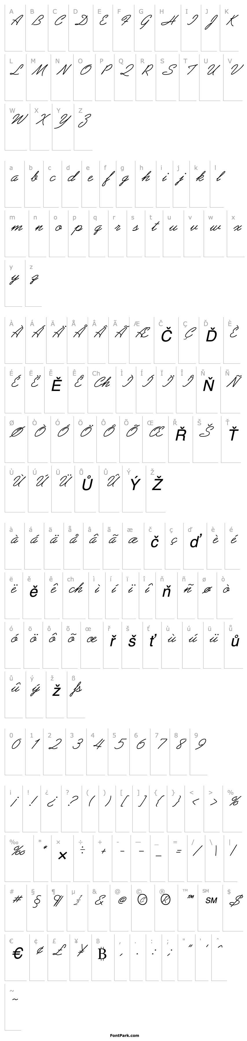 Overview GE Arabesque Script Italic