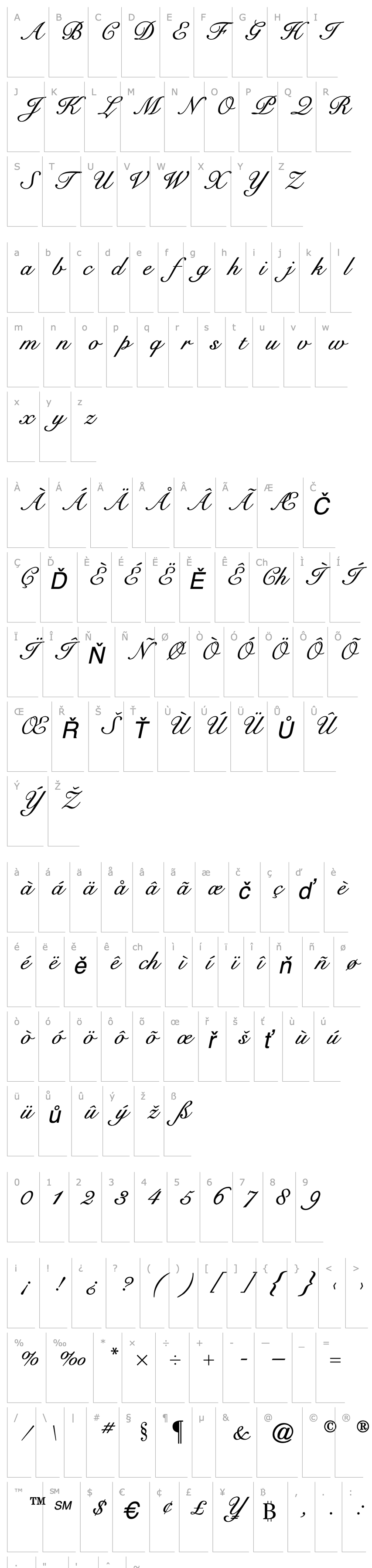 Přehled GE Cygnus Script Italic