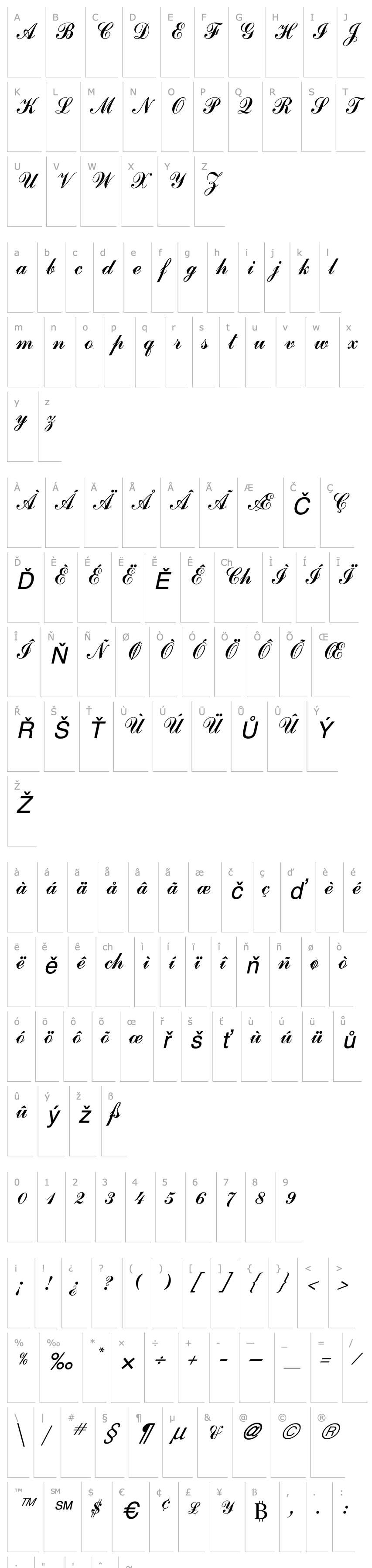 Overview GE Journeyman Script Italic