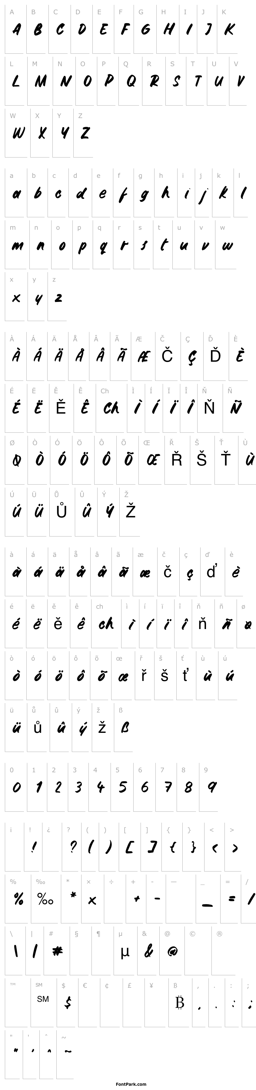 Přehled Gemini Brush