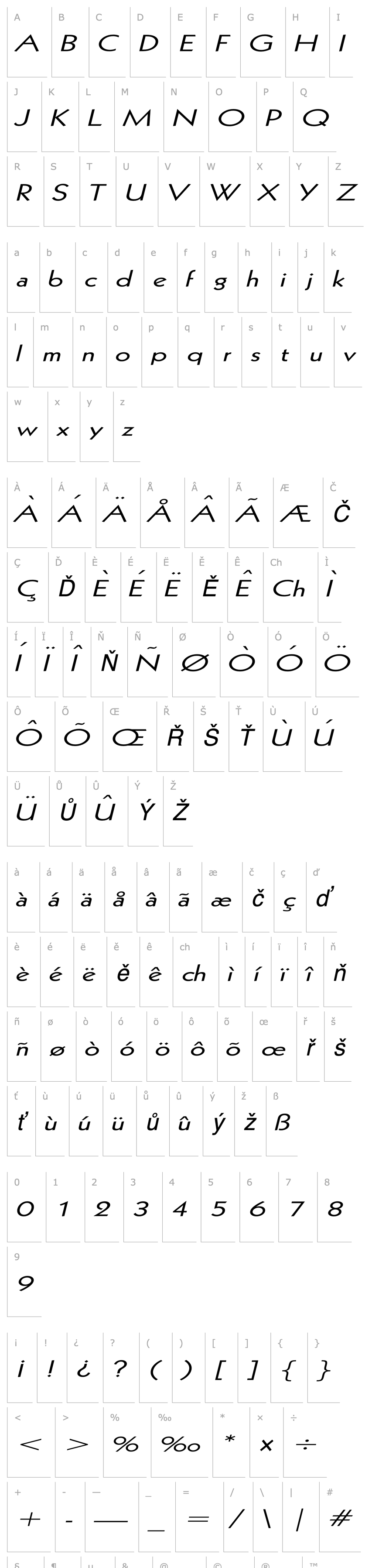 Overview Geo 112 Extended Italic