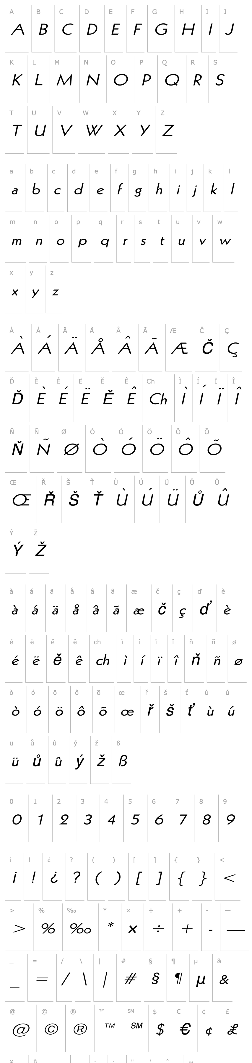 Overview Geo 112 Wide Italic