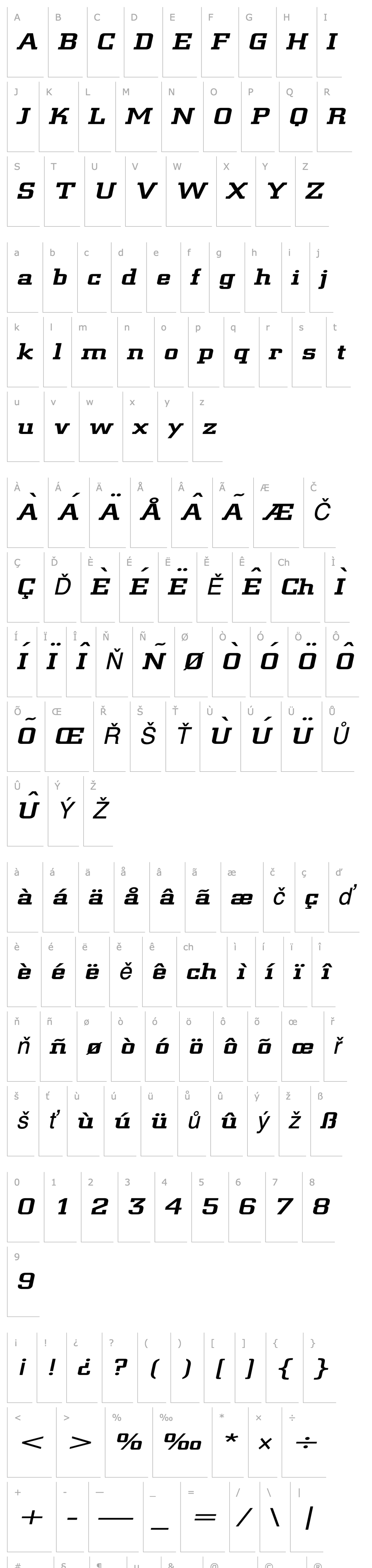 Overview Geo 957 Extended Italic