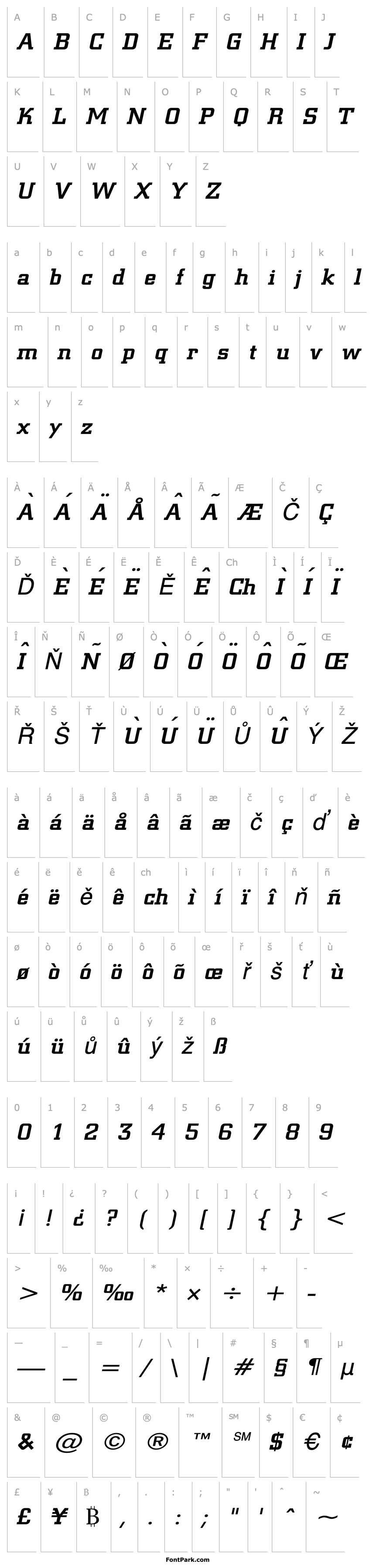 Overview Geo 957 Wide Italic