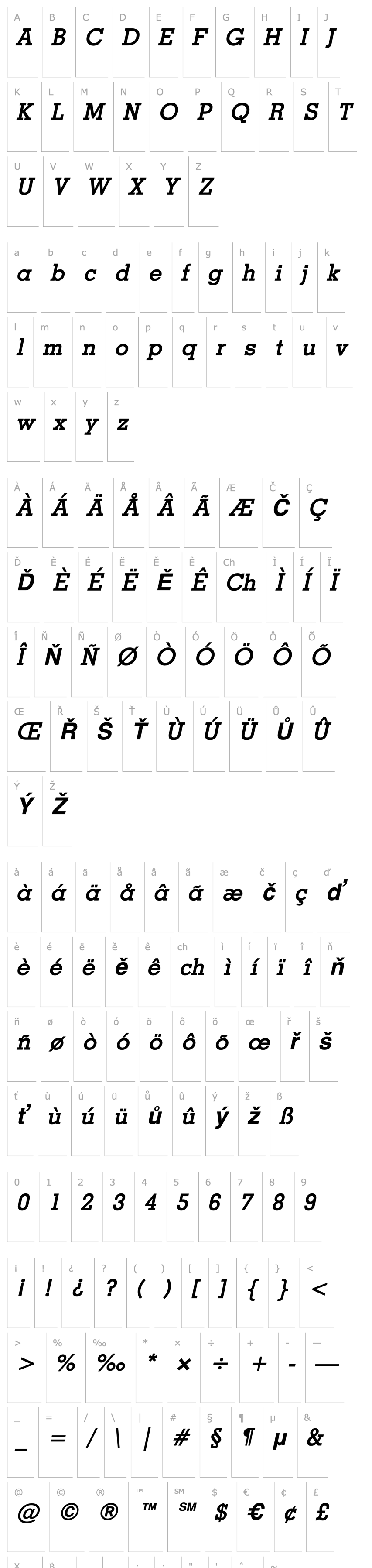 Overview Geo Bold Italic