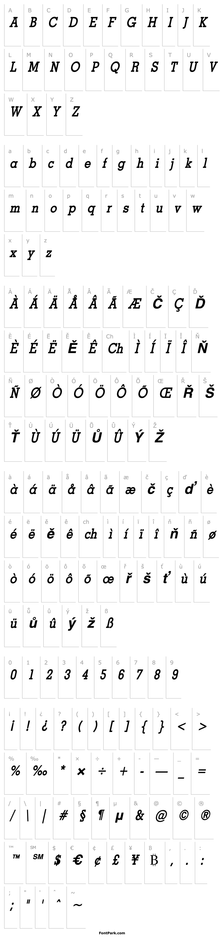 Overview Geo Condensed Bold Italic