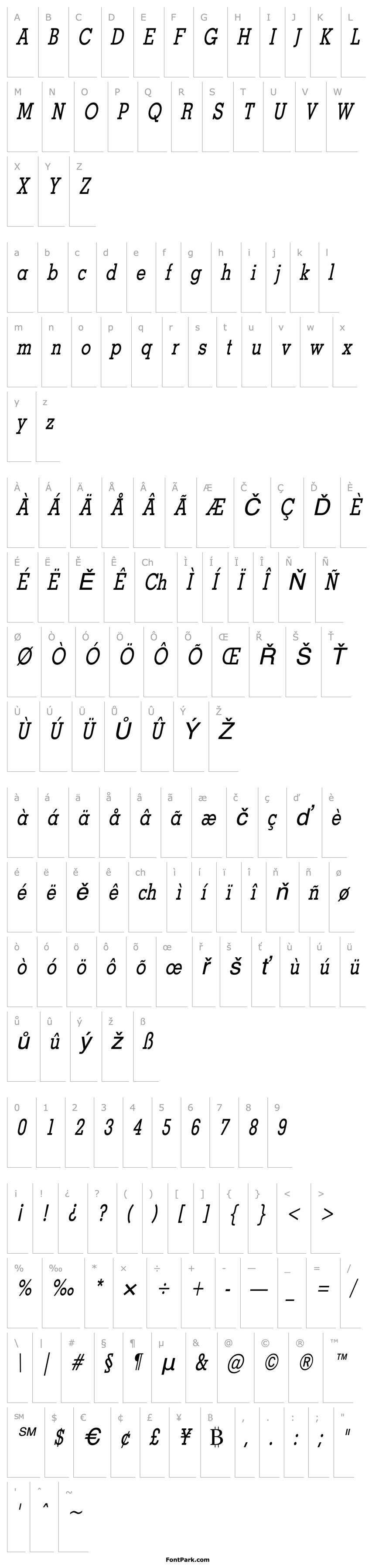 Overview Geo Thin Italic