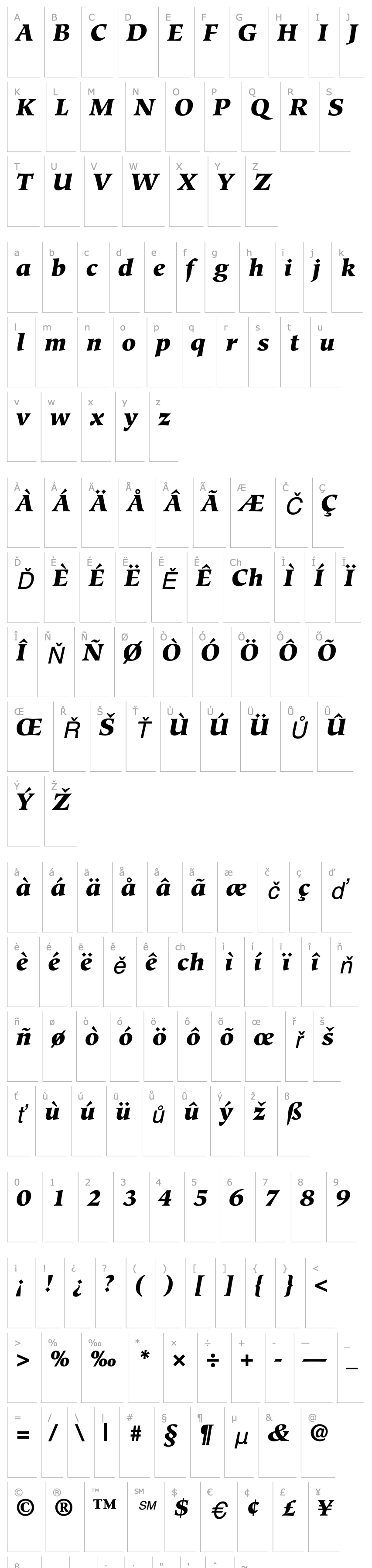 Overview Glossary Black SSi Black Italic