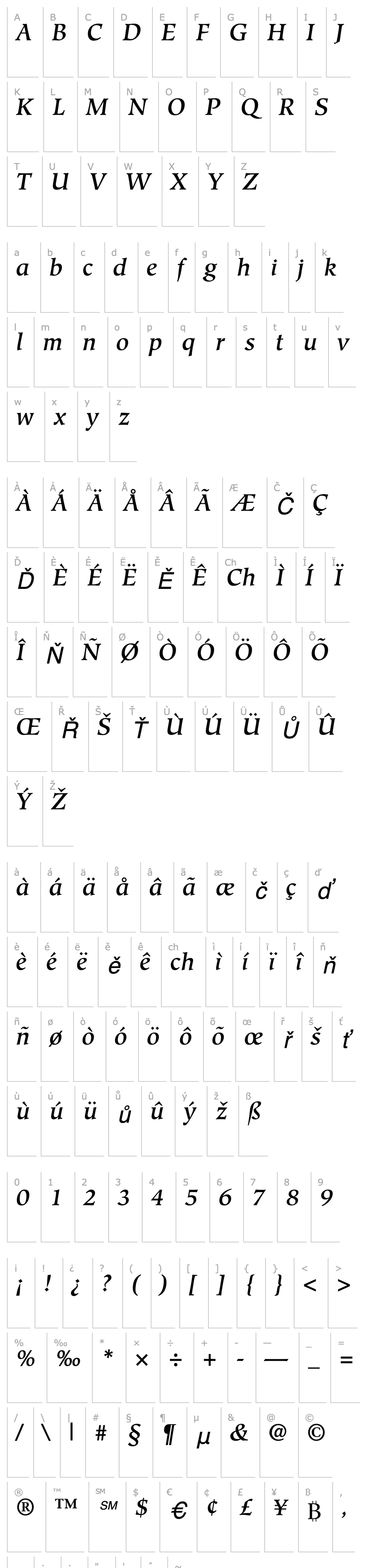 Overview Glossary Medium SSi Medium Italic