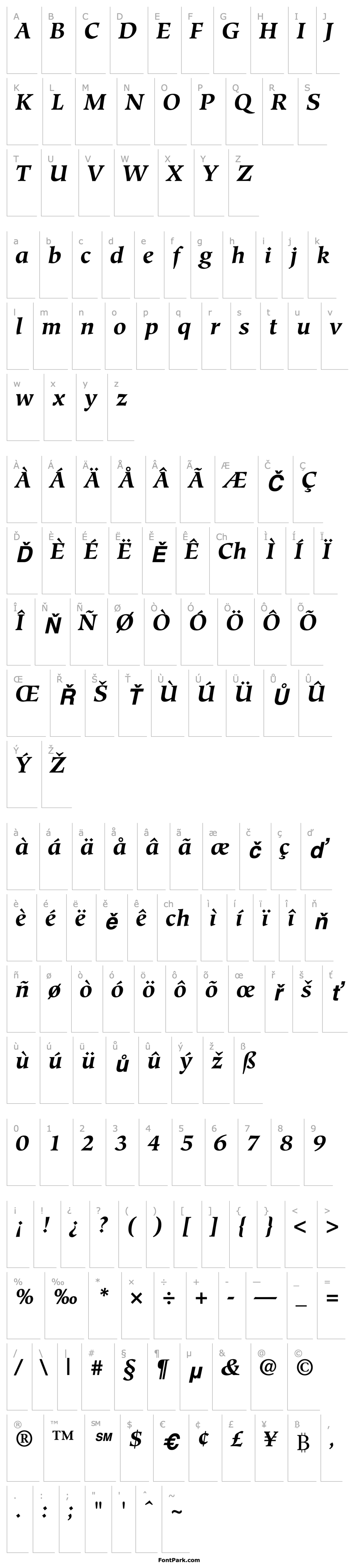 Přehled Glossary SSi Bold Italic