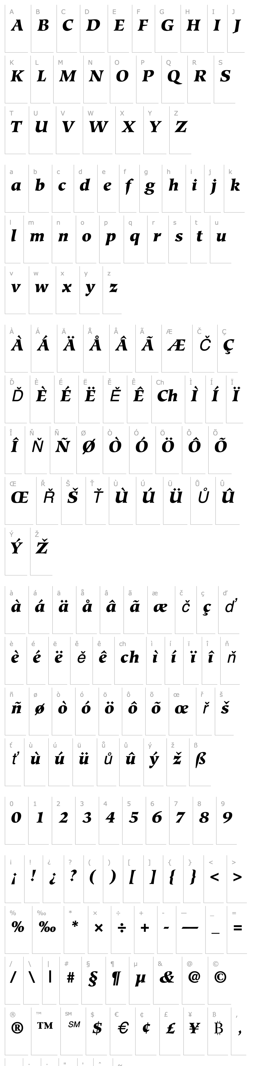 Přehled GlossaryBlackSSK Italic