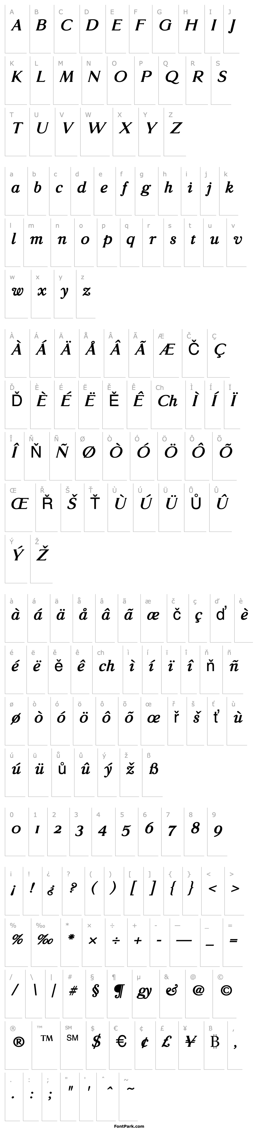 Přehled GlossoBold Italic