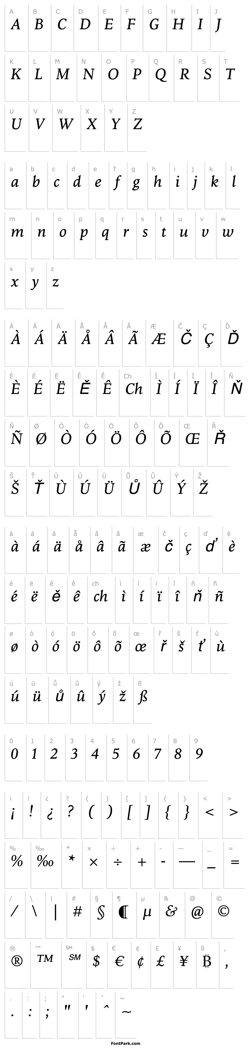 Overview Goodchild Italic