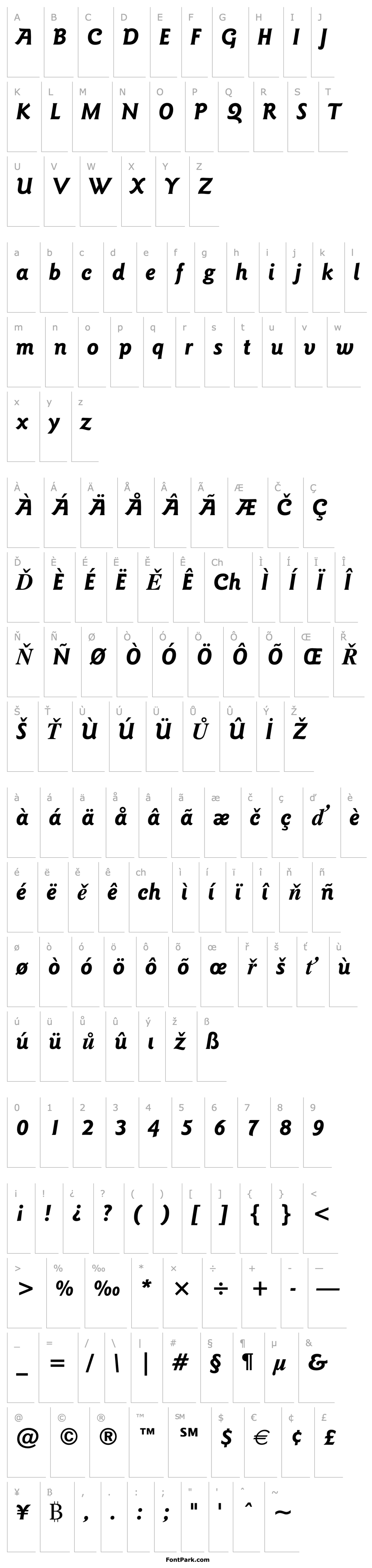 Přehled Goudy Sans Bold Italic BT