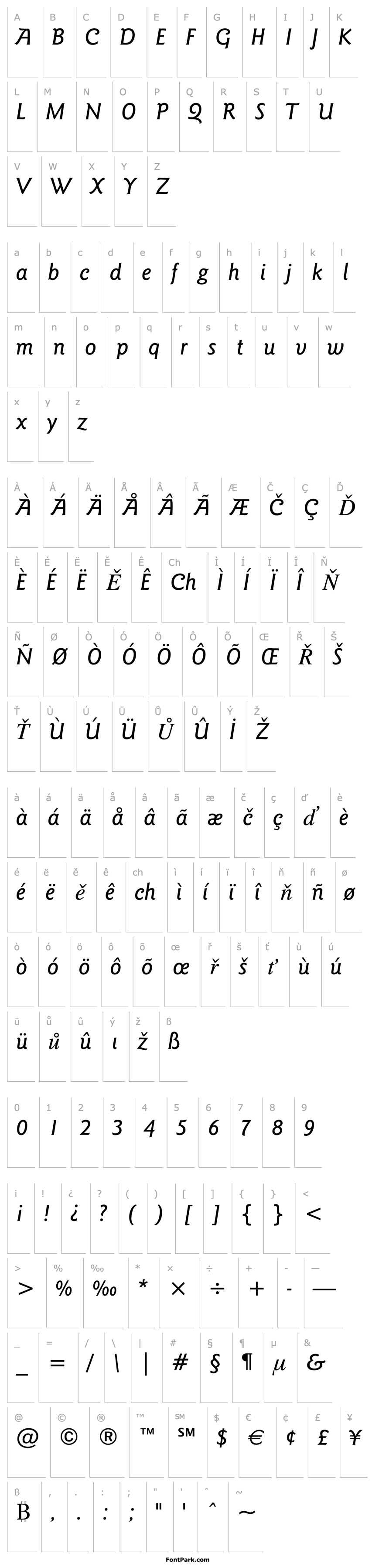 Overview Goudy Sans Medium Italic BT