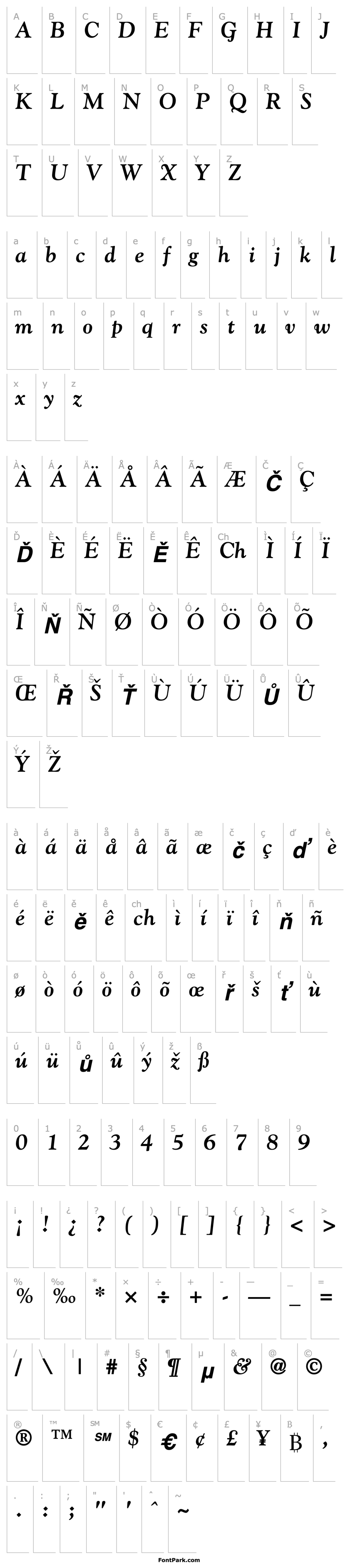 Overview Goudy SSi Bold Italic