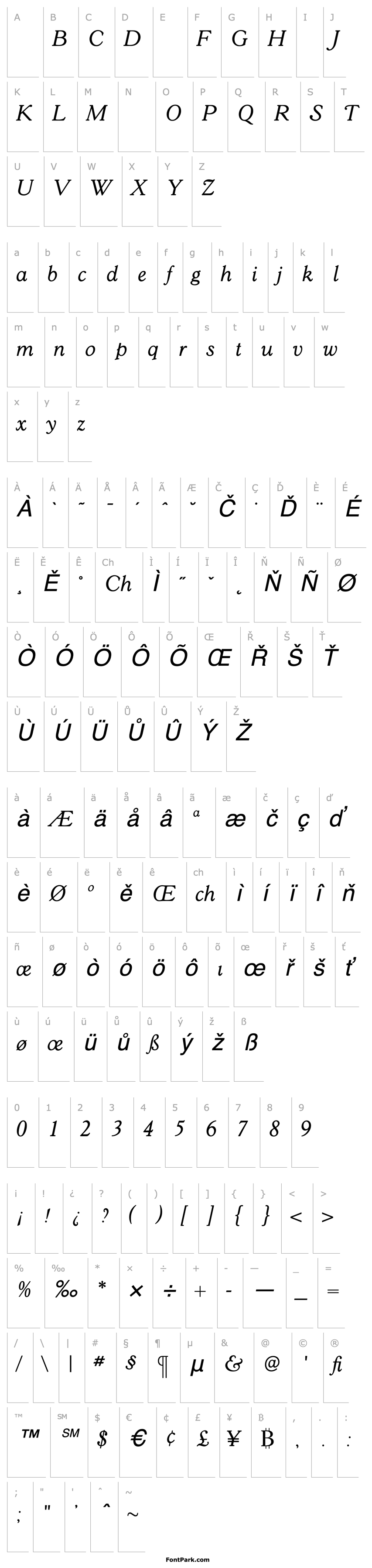 Overview GoudY38BookItalic