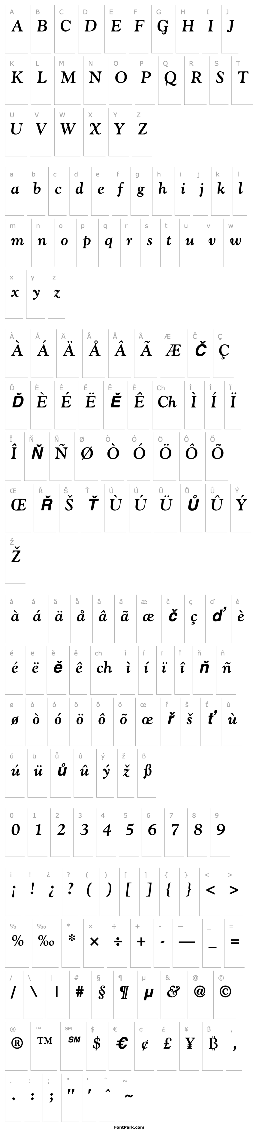 Přehled GoudySSK Bold Italic