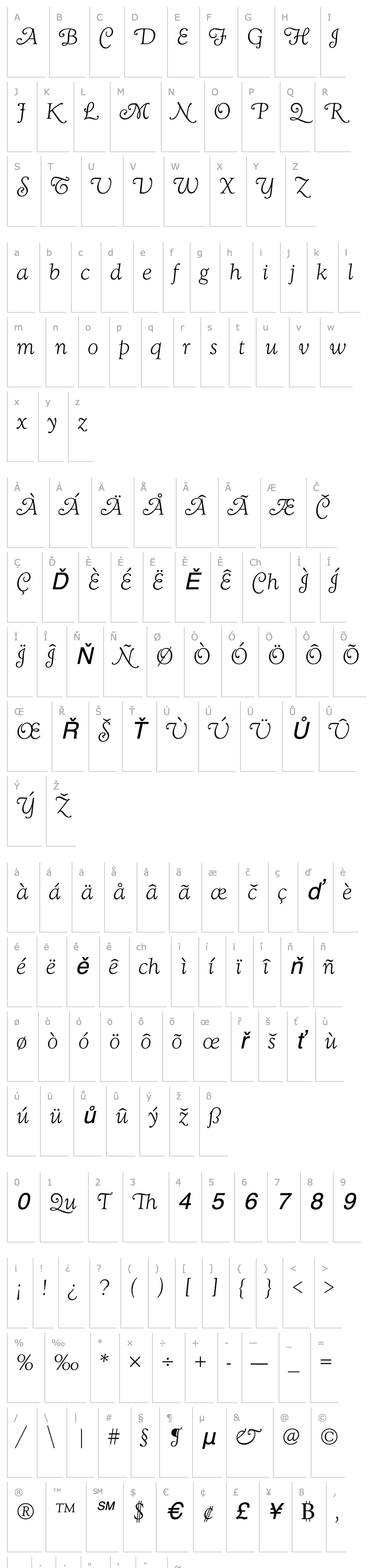 Overview GoudySwaTLig Italic