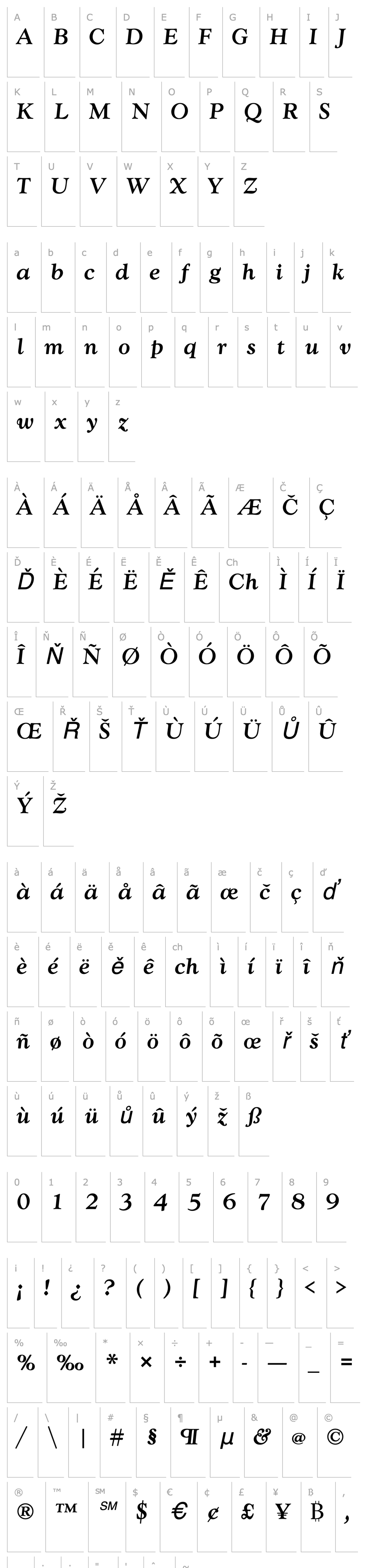 Overview GoudyTMed Italic