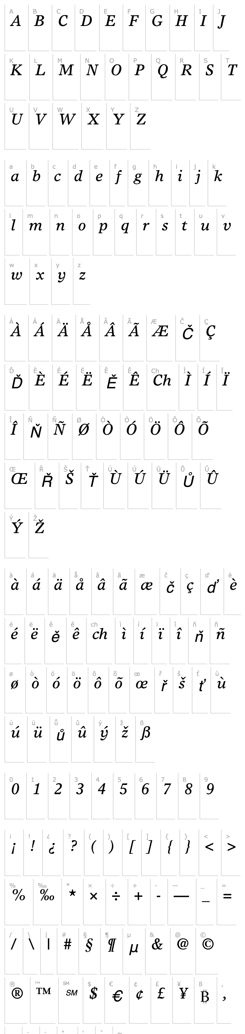 Přehled Greco Europa SSi Italic