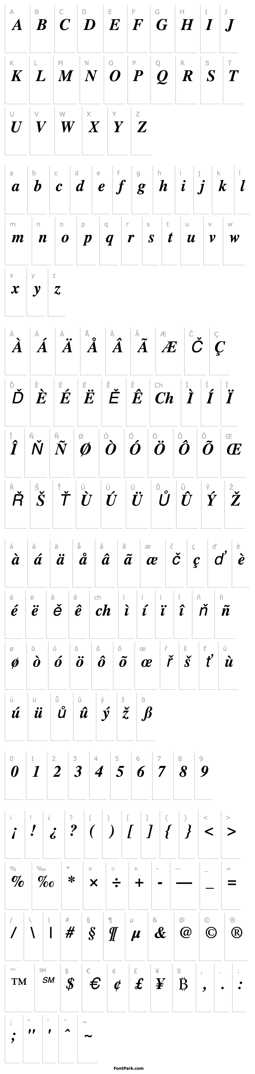 Overview GrecoBlackSSK Italic