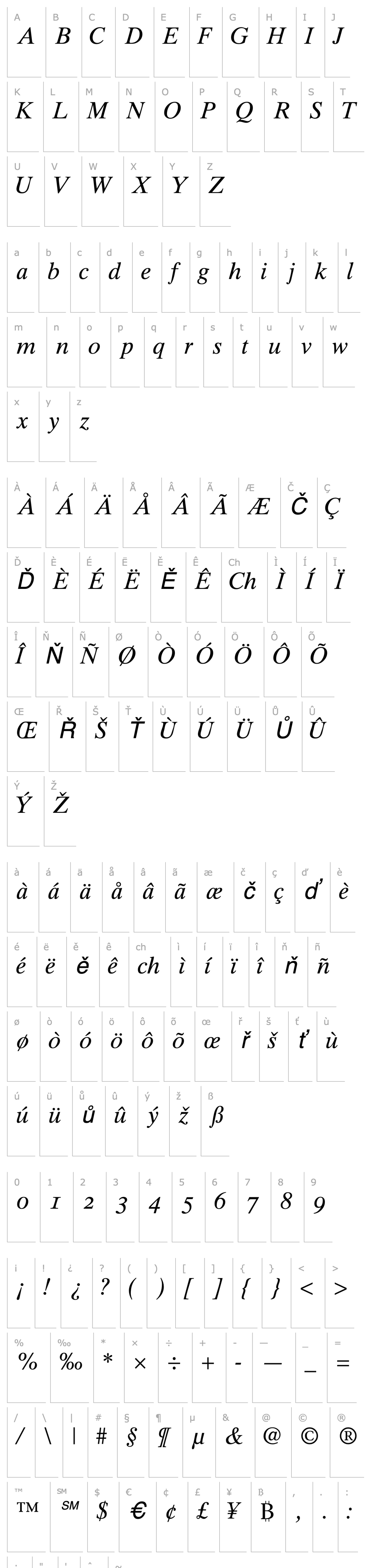 Přehled GrecoTenOSSSK Italic