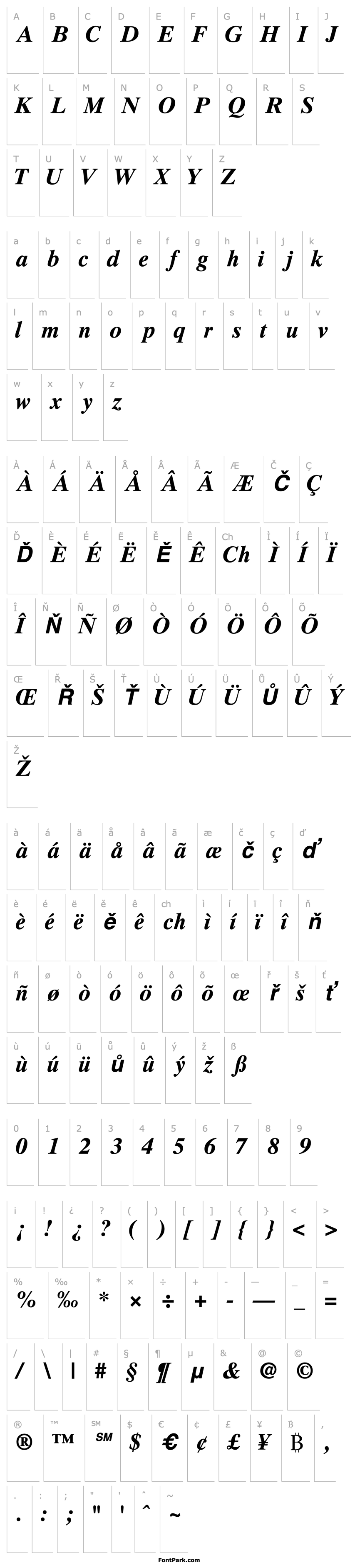 Overview GrecoTenSSK Bold Italic