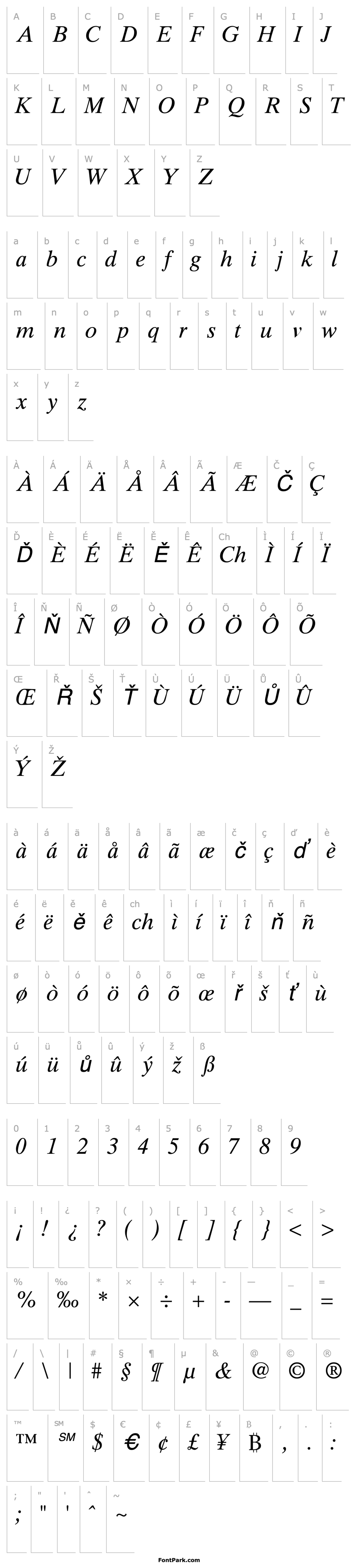 Přehled GrecoTenSSK Italic