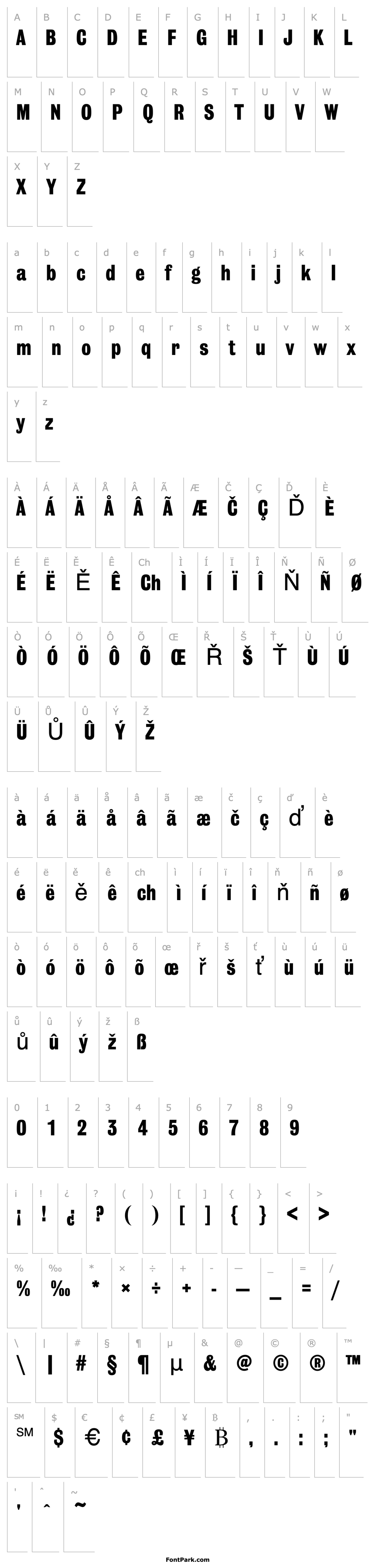 Overview GrotesqueNo9T