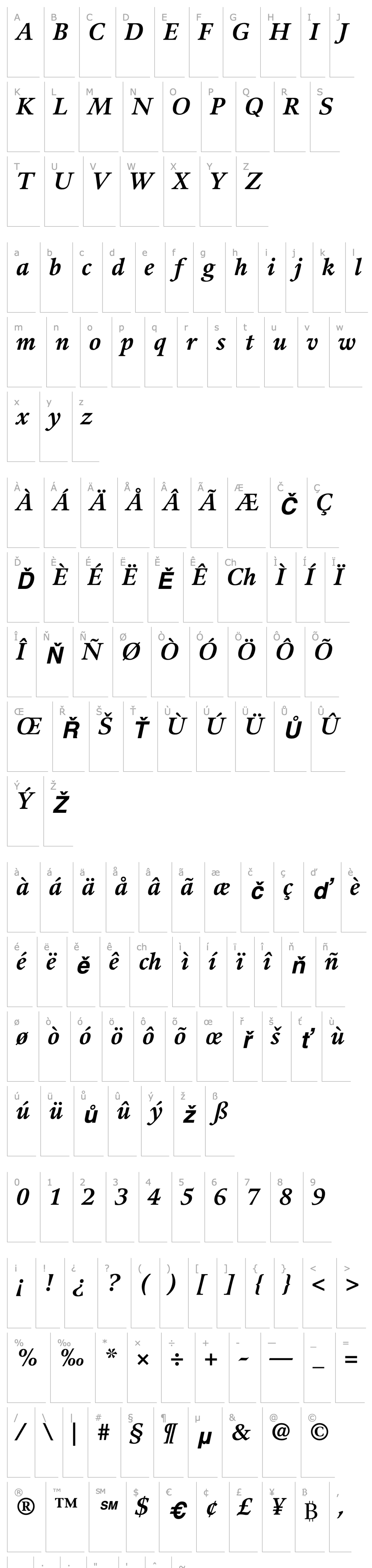 Overview Guardi76-Bold Italic