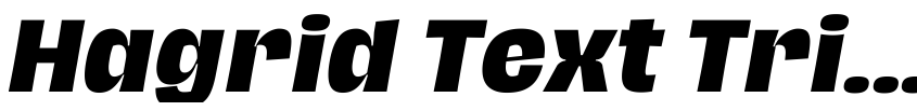 Preview Hagrid Text Trial Extrabold Italic