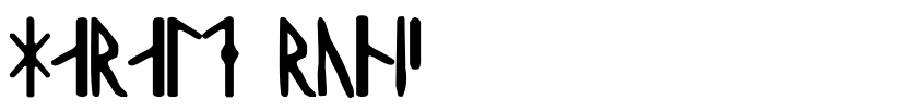 Preview Harald Runic