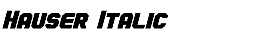 Preview Hauser Italic